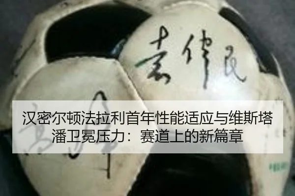 han-mi-er-dun-fa-la-li-shou-nian-xing-neng-shi-ying-yu-wei-si-ta-pan-wei-mian-ya-li-sai-dao-shang-de-xin-pian-zhang-2-138.jpg