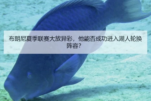 布朗尼夏季联赛大放异彩，他能否成功进入湖人轮换阵容？